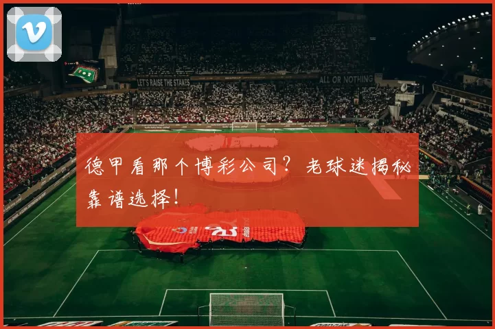 德甲看那个博彩公司？老球迷揭秘靠谱选择！